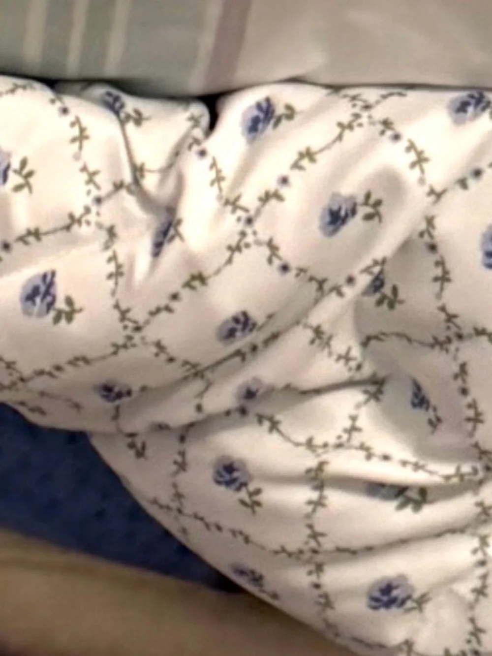 ISO: Laura Ashley Down Throws To Buy
